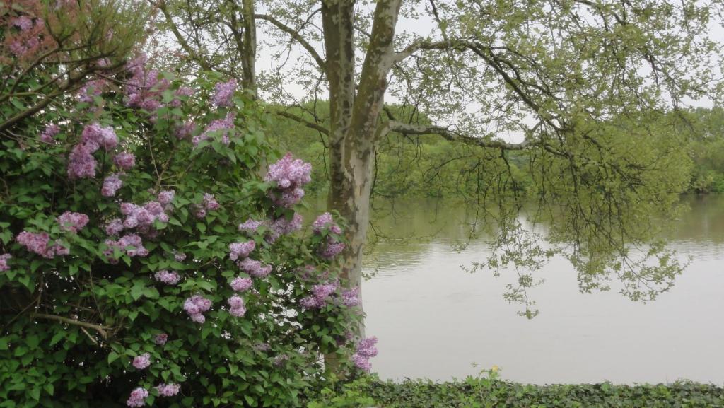 Chambre D'Hotes Au Fil De L'Eau Saint-Martin-Belle-Roche Zewnętrze zdjęcie